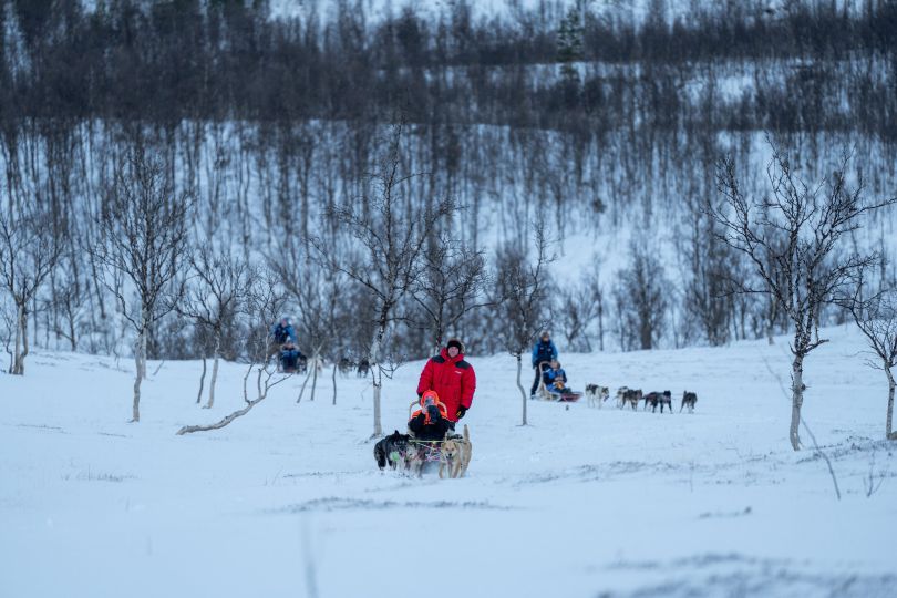 Six people dog sledding at Camp Tamok