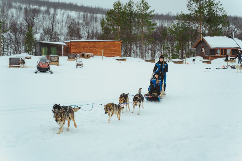 Two people dog sledding from Camp Tamok