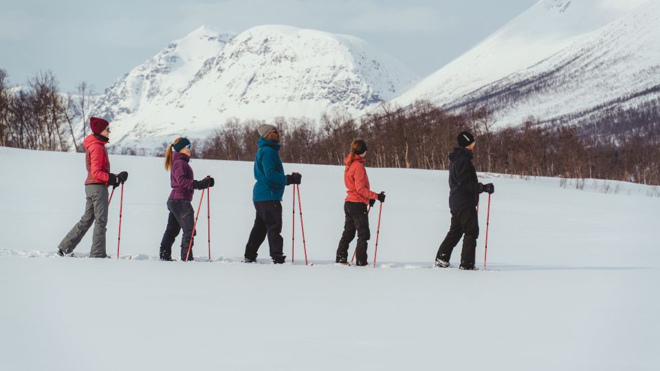 Group of people doing cross-country skiing