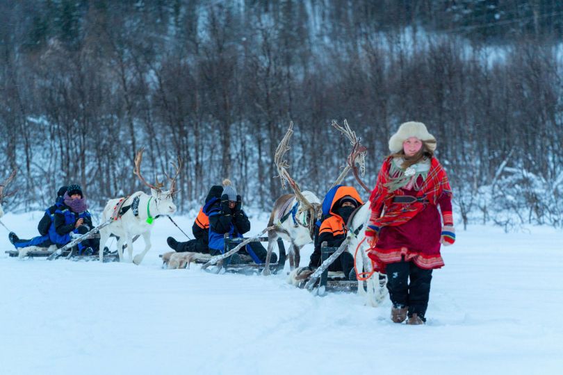 Reindeers pulling sleds with people