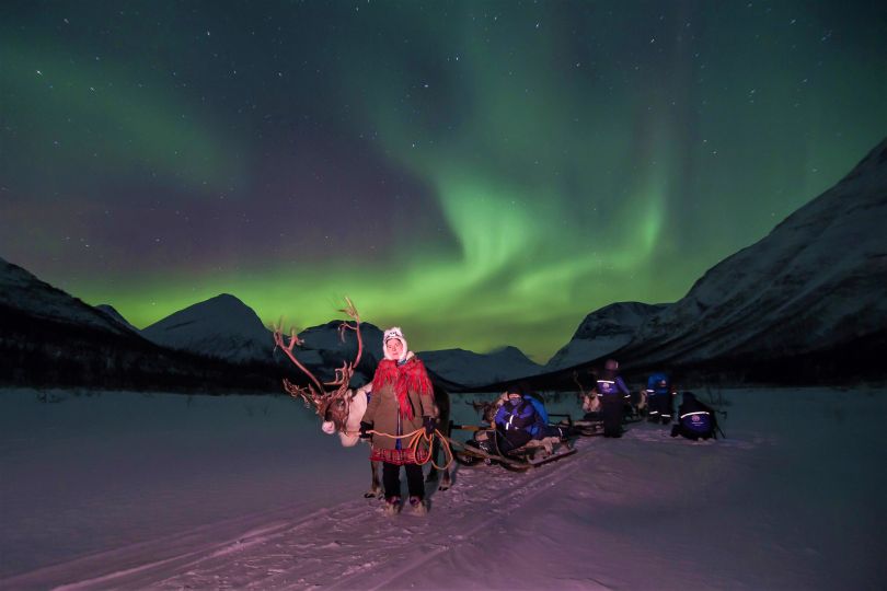 Reindeers pulling sleds with people with Northern lights over them