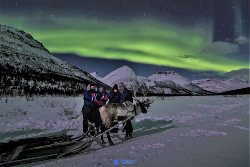 People standing with Reindeer with Northern lights over them