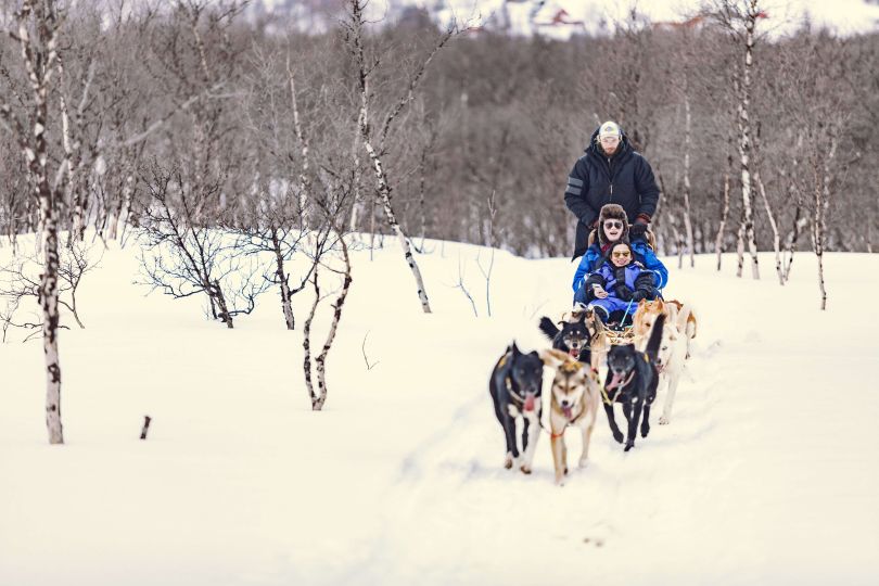 Group of huskies pulling sledge with people in it.