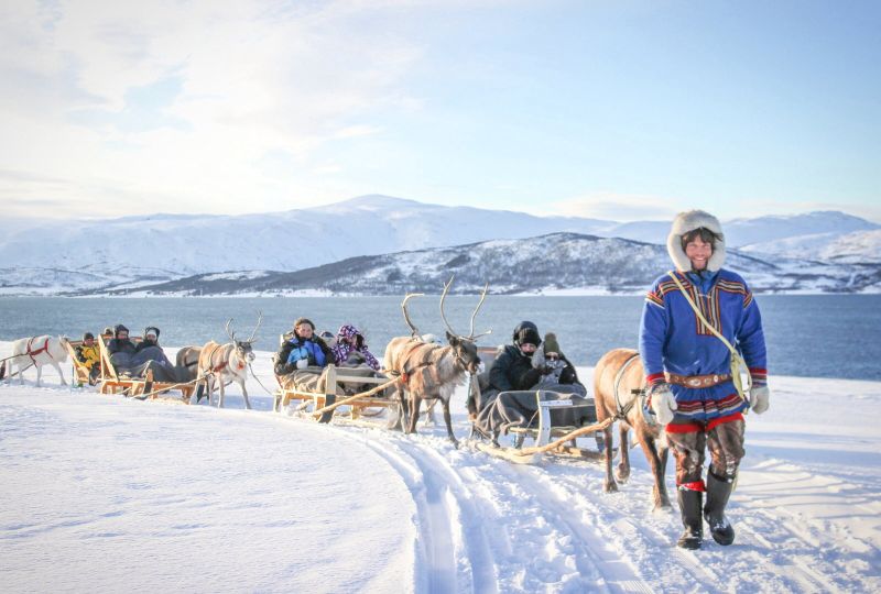 Man leading reindeer sleds with people in them through nature