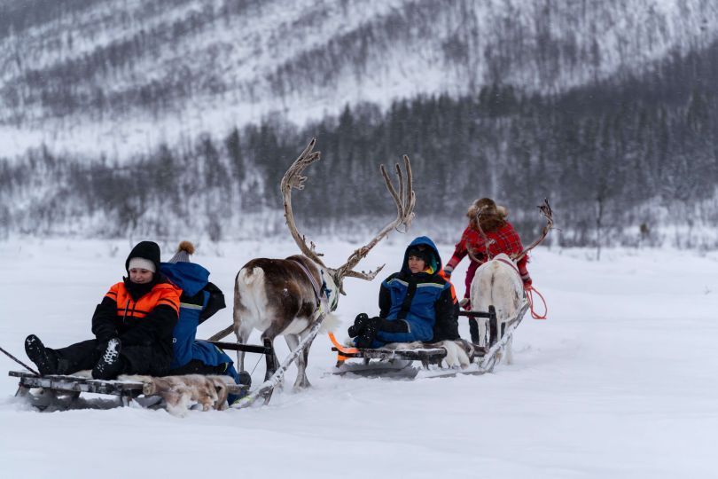 Reindeers pulling sleds with people