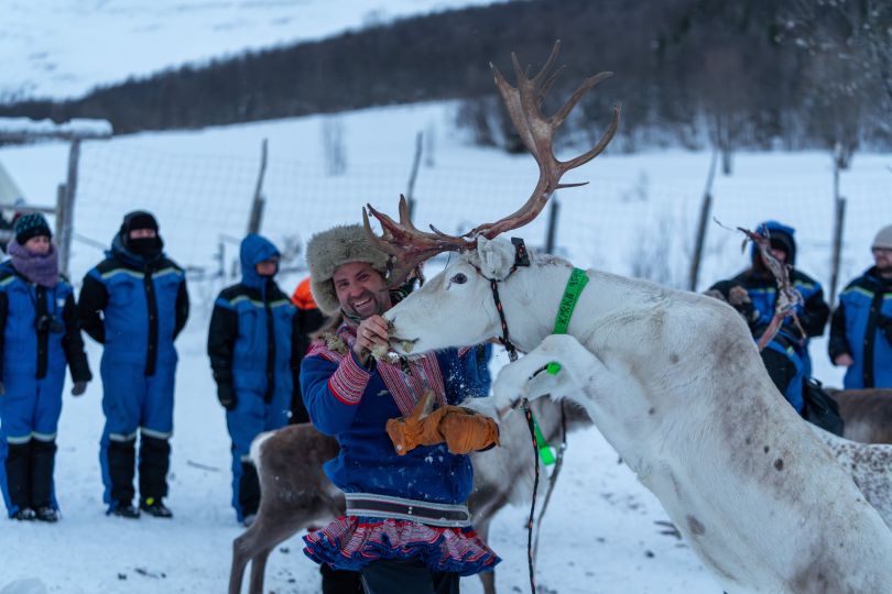 Man feeding reindeer.