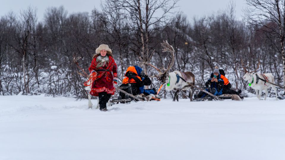 Reindeer pulling sledge with people.