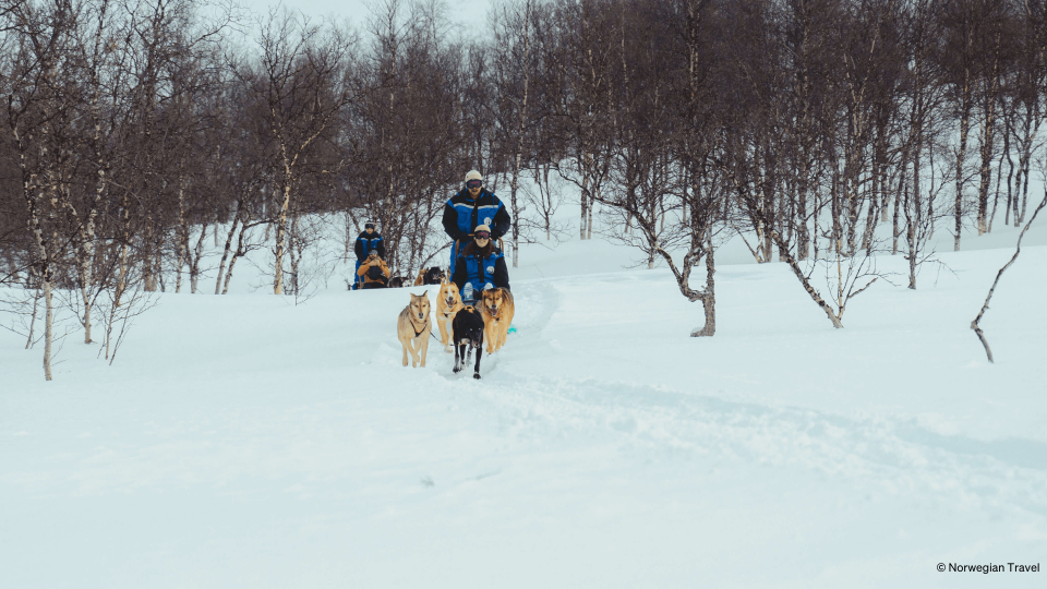 Huskies pulling people on sledge through nature