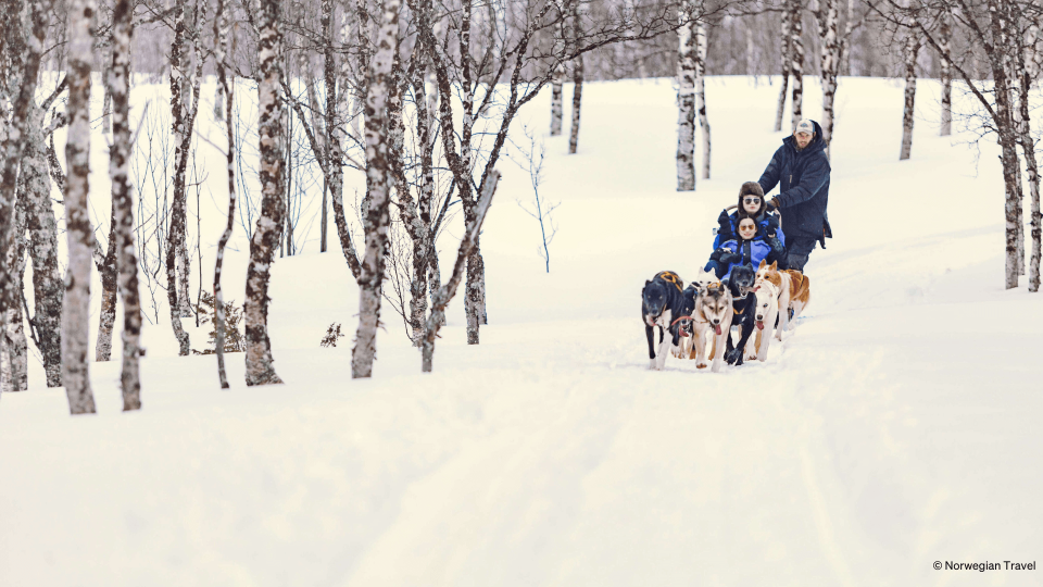Huskies running through snow pulling people on sledge.
