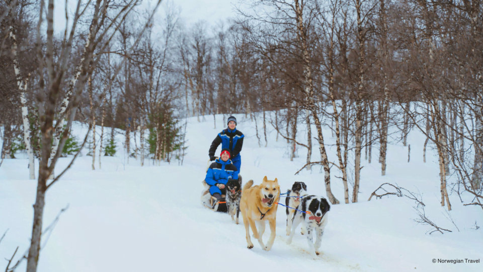 Huskies running through nature pulling people sitting on sledge