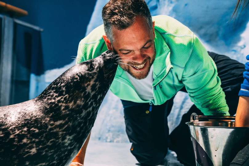 seal meeting at Polaria