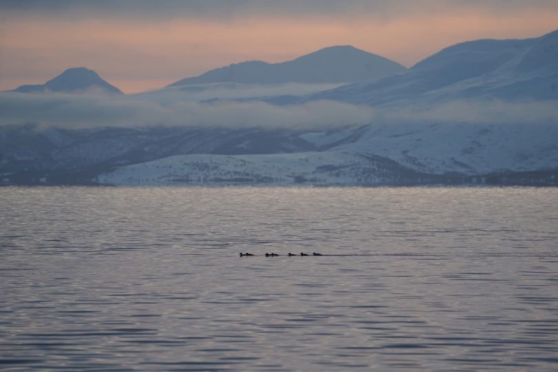 Photo of fjords from Rødne fjord Cruise by Daniel John Benton