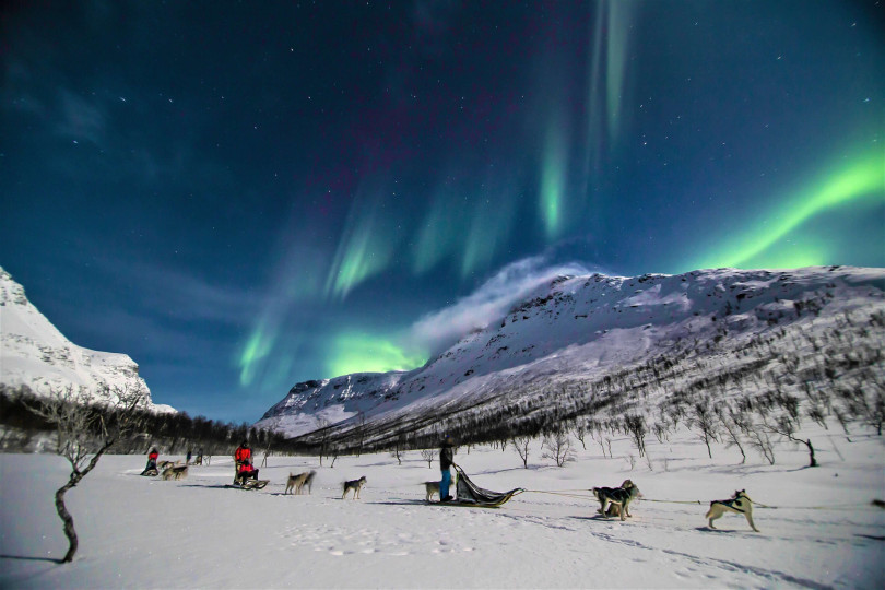 Group of huskies pulling sleds with people with Northern lights over them