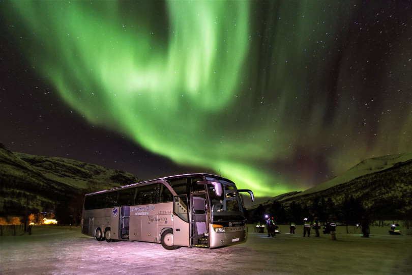 People standing in front of bus and watching Northern lights
