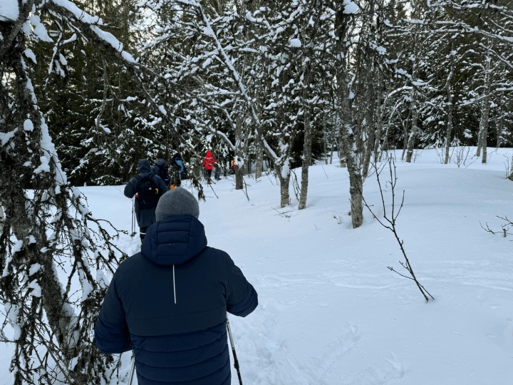 group of people snowshoeing in nature