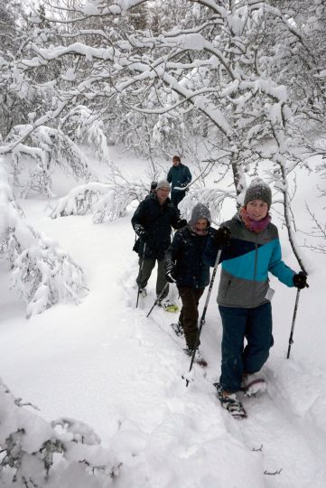Group of people snowhing up the hill