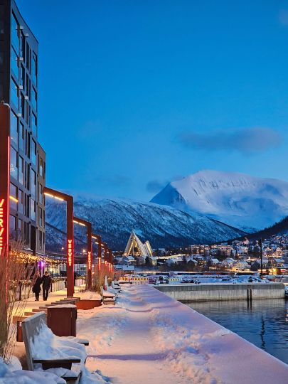Vervet neighbourhood during blue hour in winter