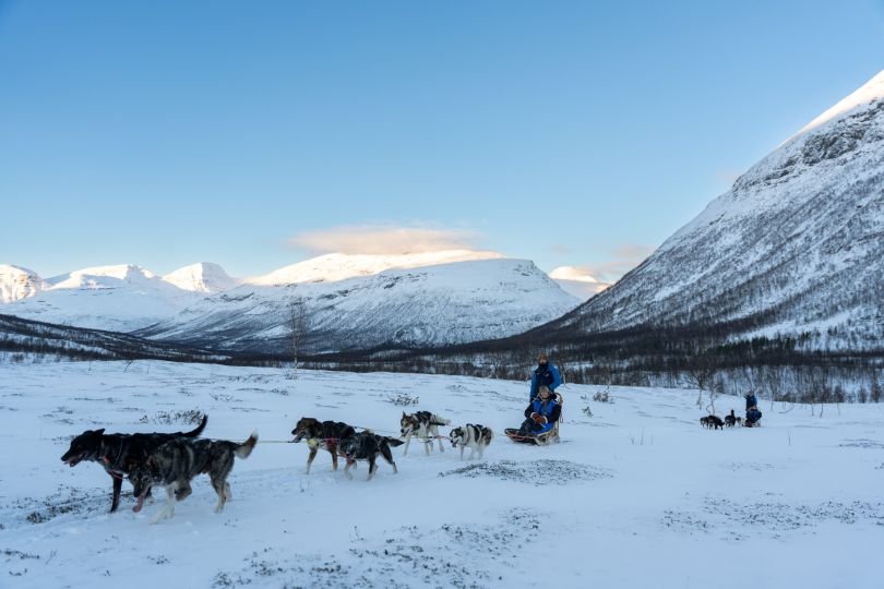 Four people dog sledding at Camp Tamok