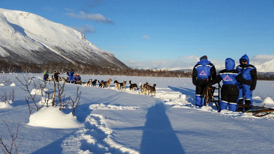 Group of people and huskies waiting to start sled tour.