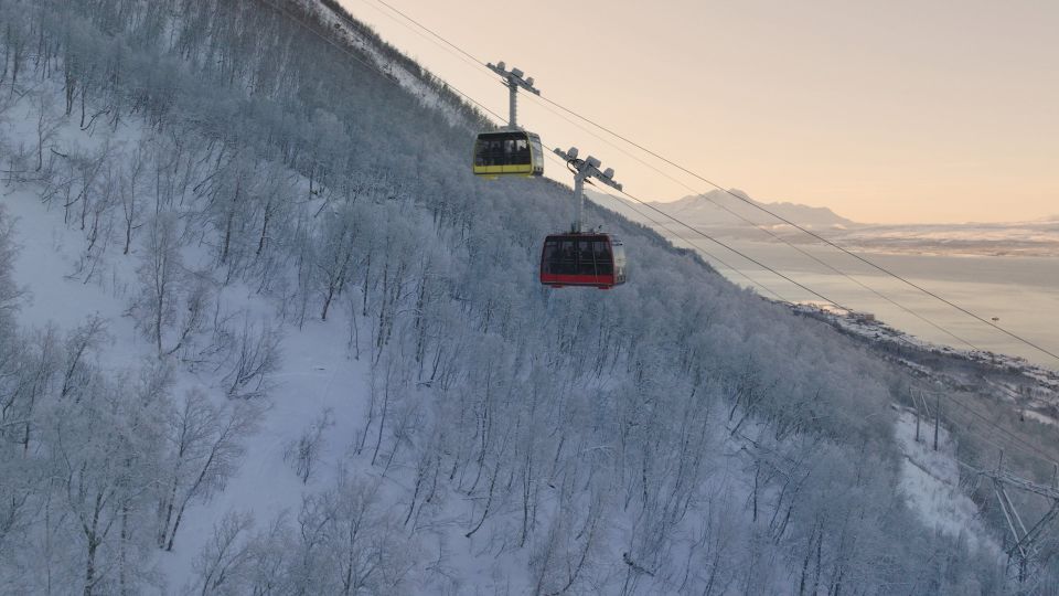 Two cable cards moving up the mountain