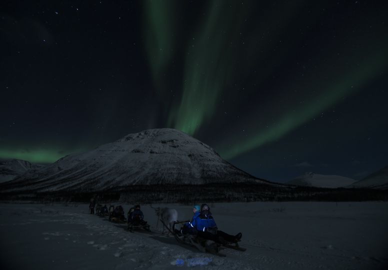 Reindeers pulling sleds with people with Northern lights over them