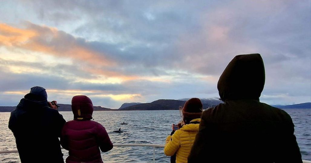 People standing on deck of boat adn watching whales