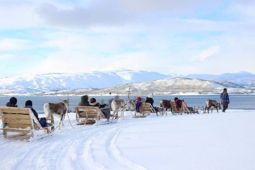 Man leading reindeers in nature