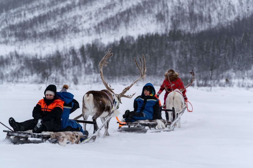 Reindeers pulling sled with people