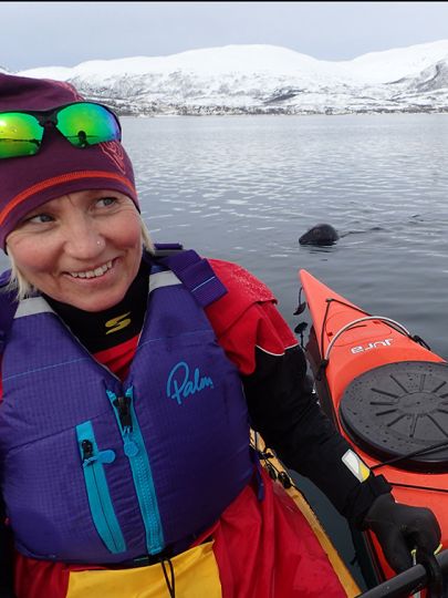 Winter kayaking in Tromso Norway with a seal swimming next to the kayaks